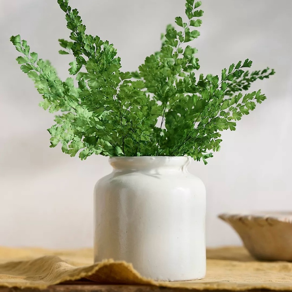 Terrain Preserved Fern Bunch